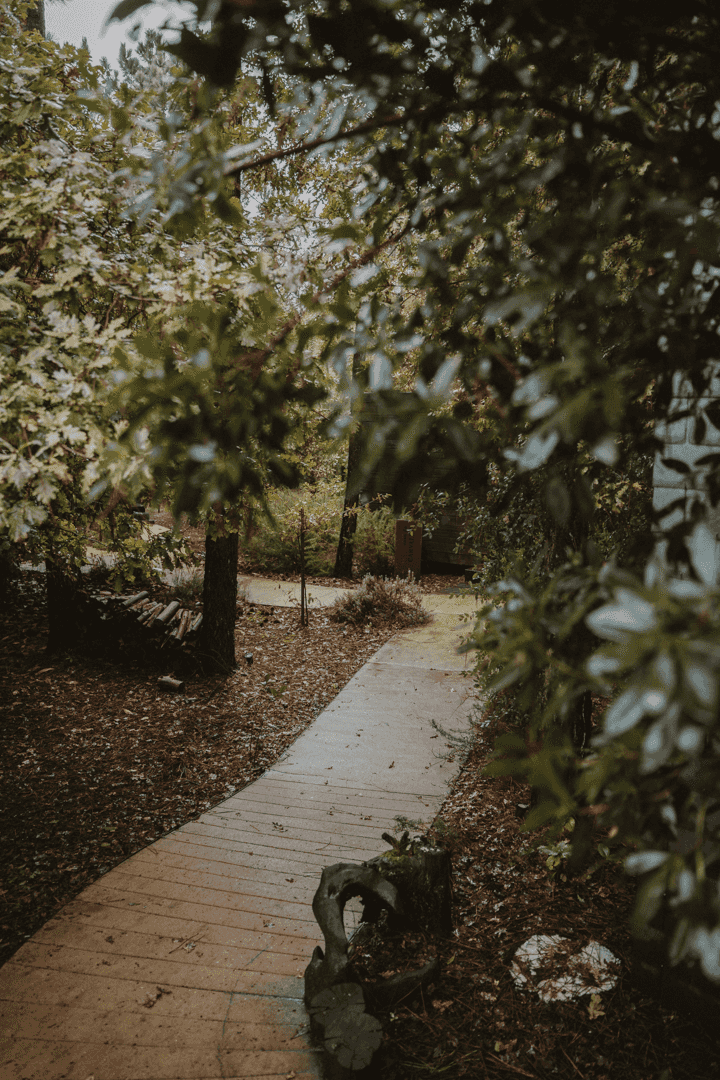 Borsini · maison portuguesa